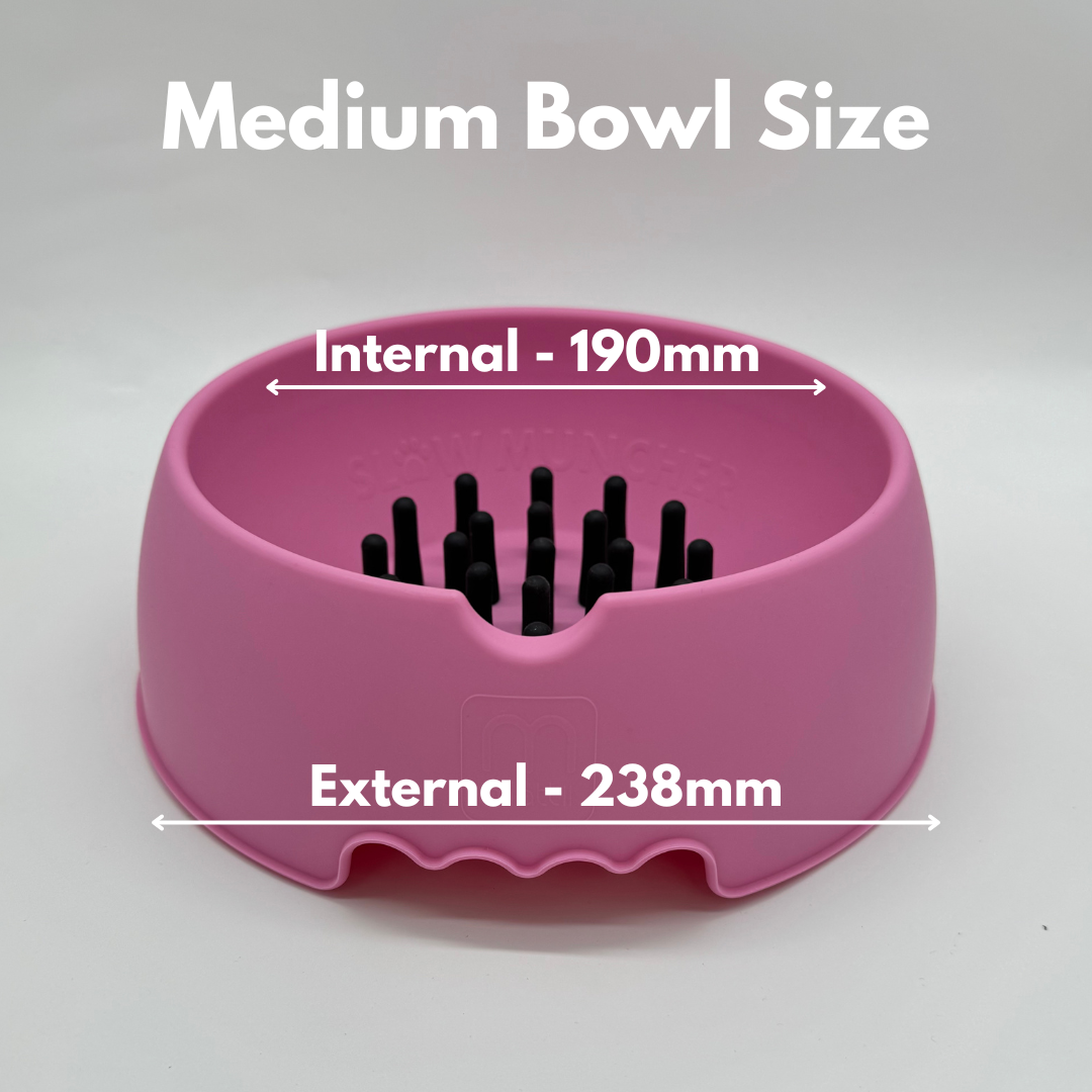 Slow Muncher Dog Bowl - Pink