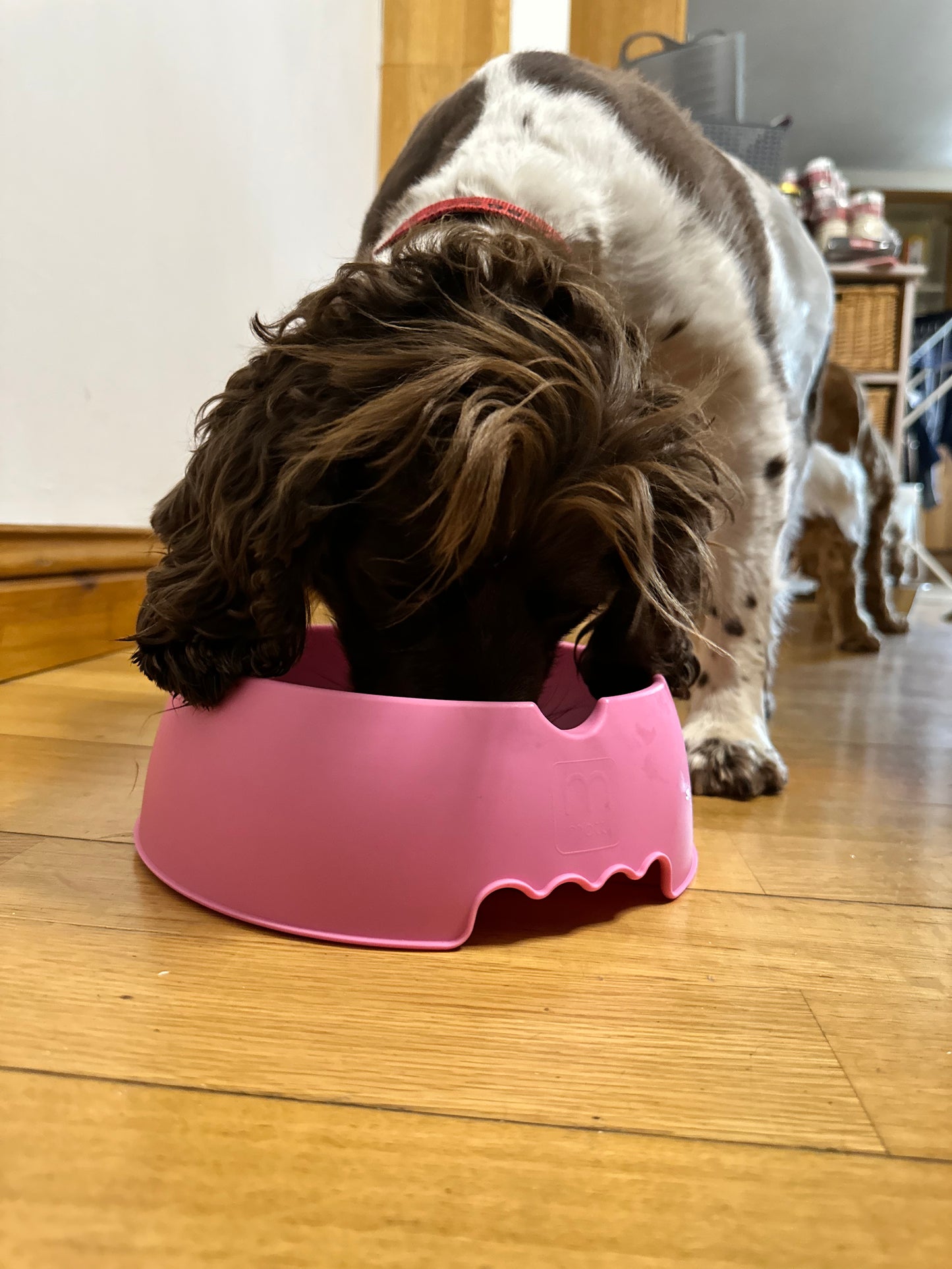 Slow Muncher Dog Bowl - Pink