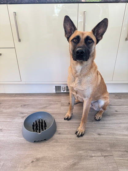 Slow Muncher Dog Bowl - Grey