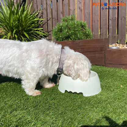 Slow Muncher Dog Bowl - Linen