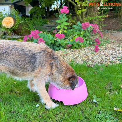 Slow Muncher Dog Bowl - Pink