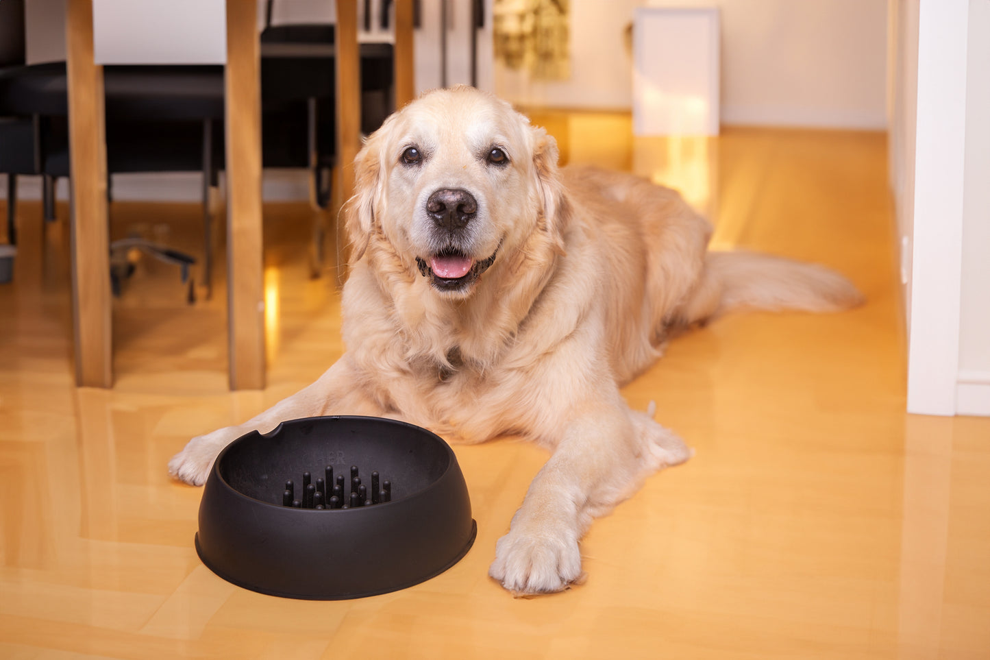 Slow Muncher Dog Bowl - Black